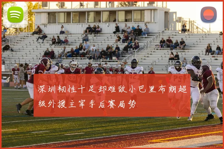 深圳韧性十足却难敌小巴里布朗超级外援主宰季后赛局势